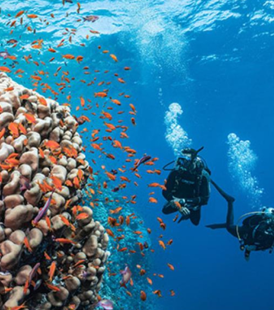 2Discover Scuba Diving