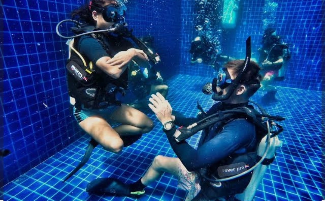 1PADI Divemaster
