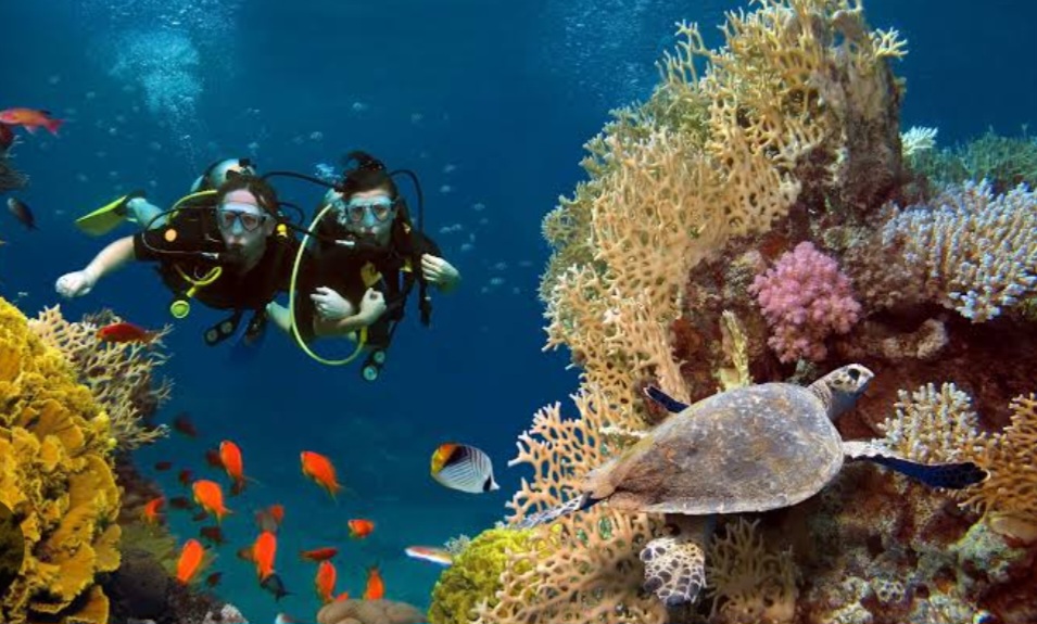 3Discover Scuba Diving