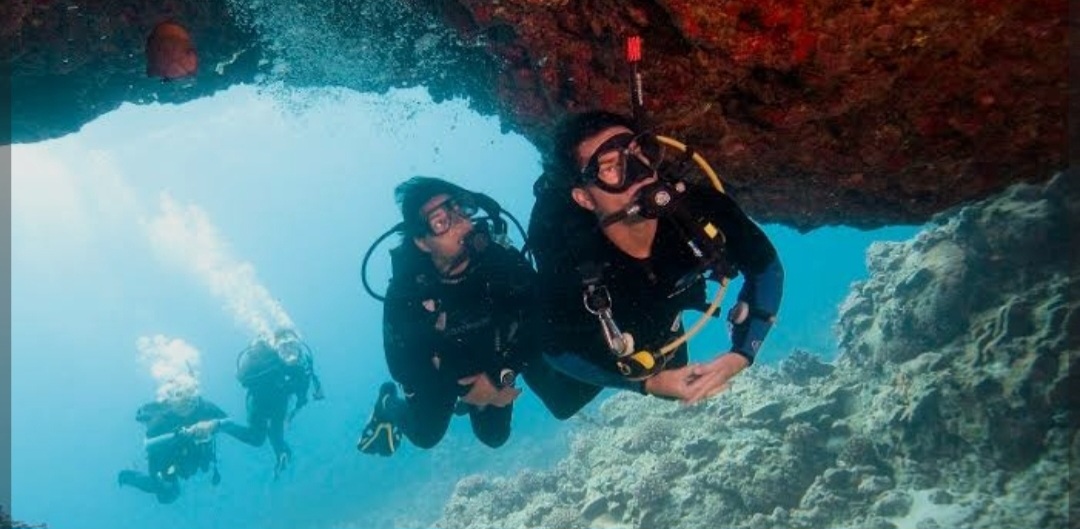 2PADI Divemaster