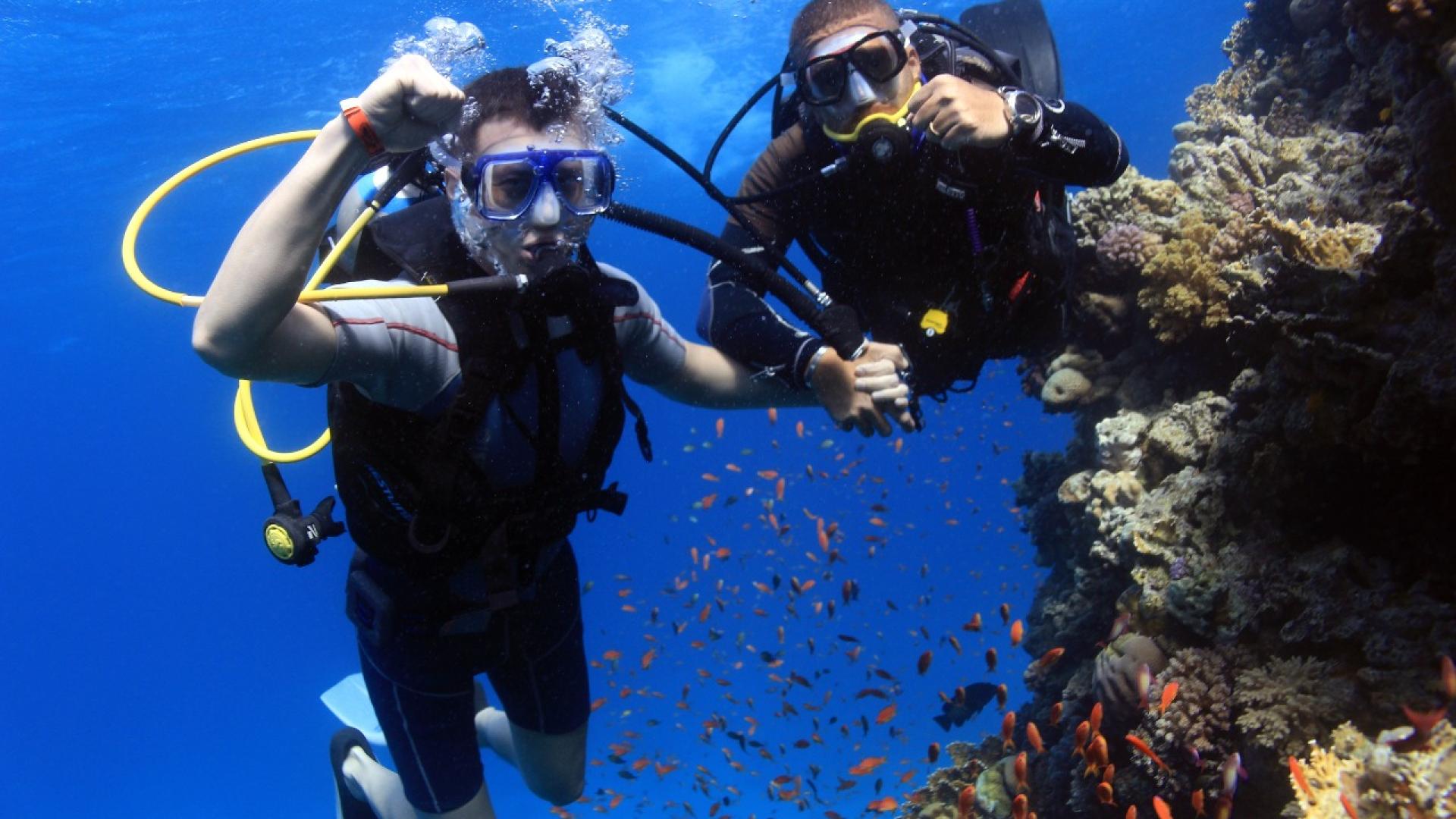 Станьте сертифицированным дайвером Open Water за 4 дня: пошаговое руководство