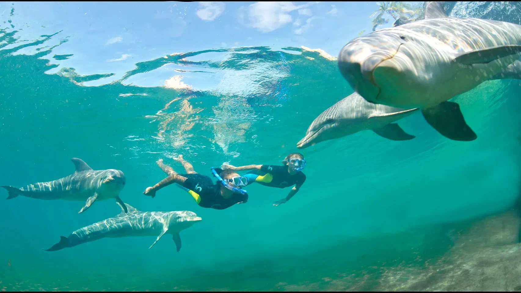 1Hurghada’dan Dolphin Koyu (Dolphin Bay) Turu