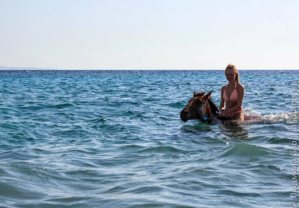1Plimbare călare și baie în mare, în Hurghada.