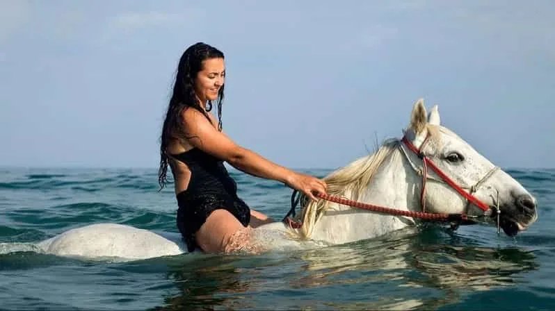 2Plimbare călare și baie în mare, în Hurghada.