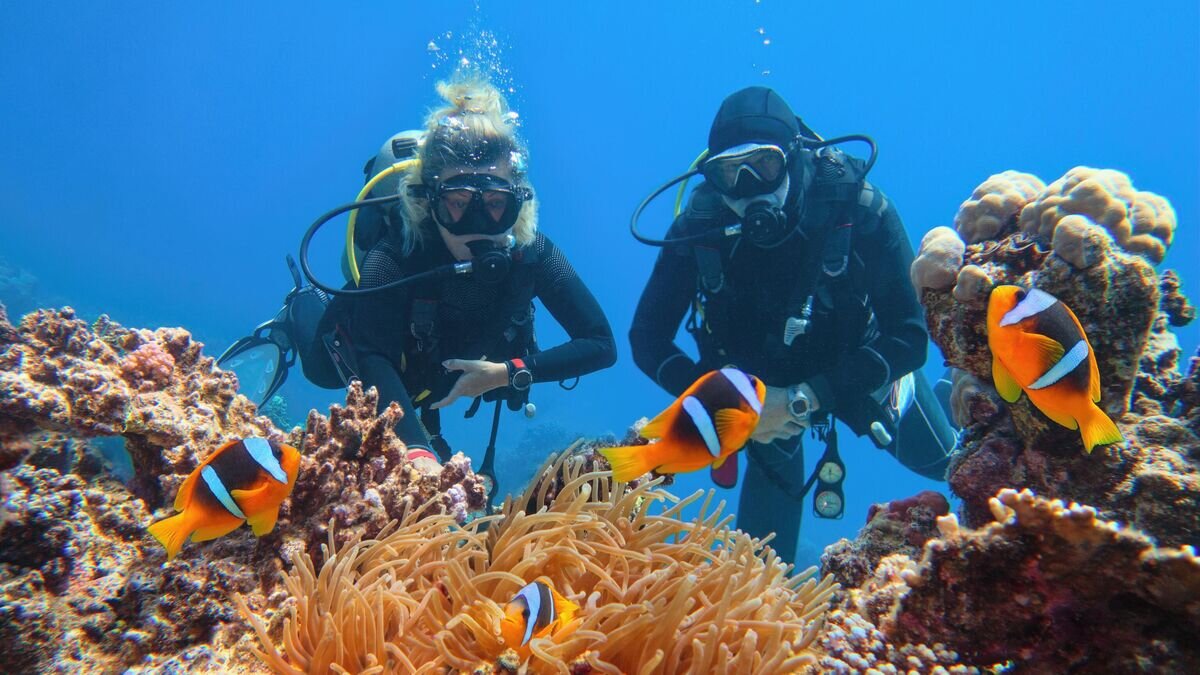 1Morska przygoda 5 w 1 z Hurghady.