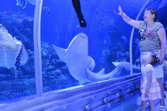 2Trip to the Grand Aquarium and Zoo in Hurghada.
