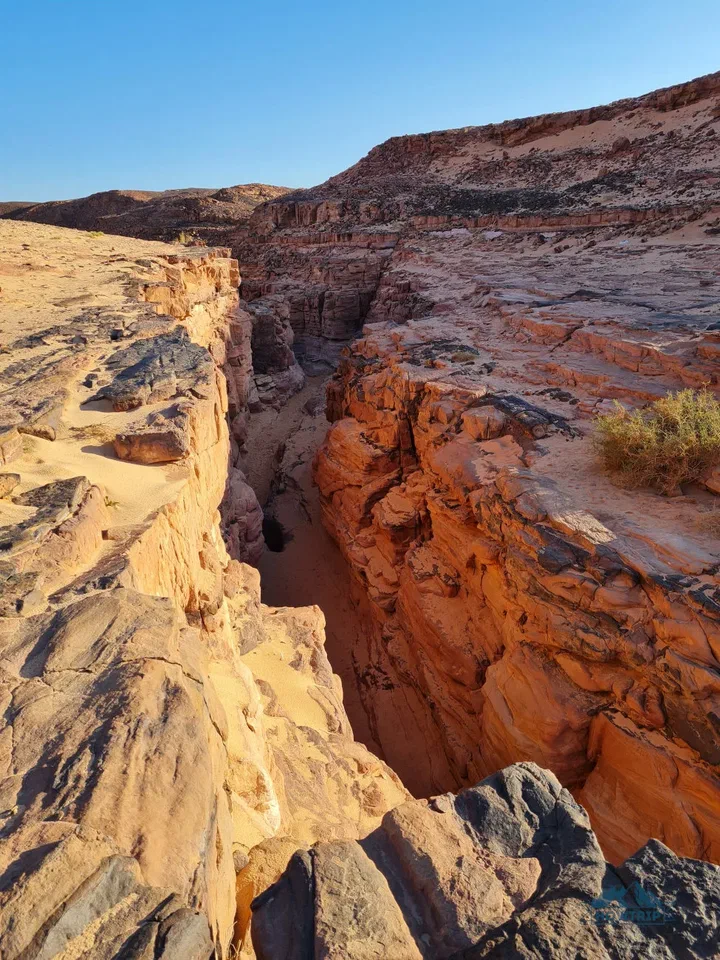 Favoloso tour tra oasi, canyon e famiglia beduina da Hurghada.