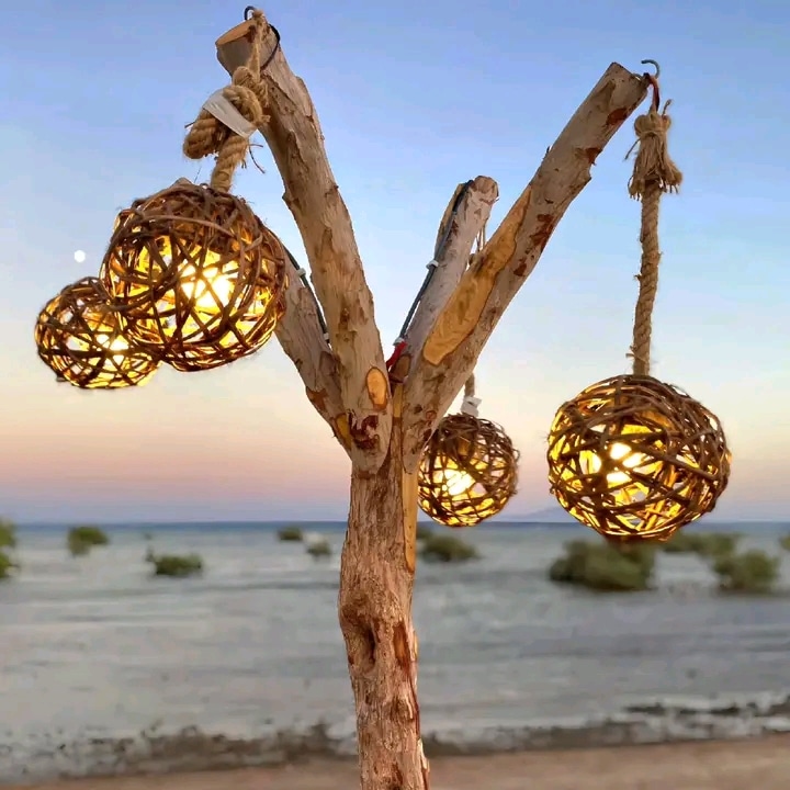 2Safari Quattro in Uno  — Da Sharm El Sheikh, un’avventura esclusiva nella Riserva Naturale di Nabq! 🏜️