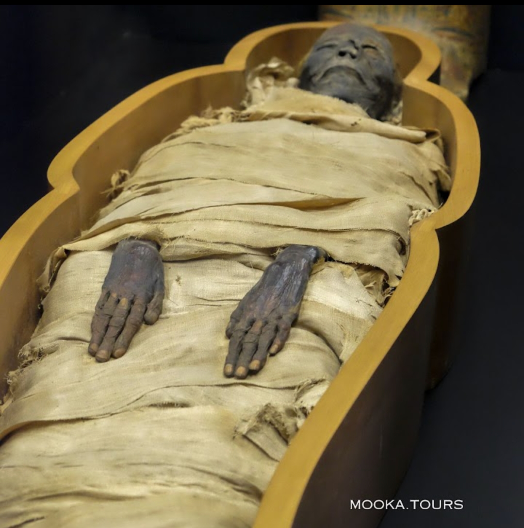 6Каїр автобусом — з Шарм-ель-Шейху до Пірамід та Єгипетського музею!  🚌🇪🇬