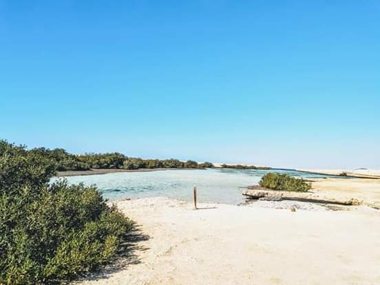 2Rezerwat Ras Mohammed  — Autobusem z Szarm el-Szejk odkryj wyjątkową naturę Synaju! 🌿