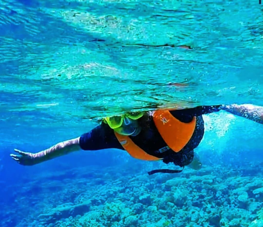 7Rezerwat Ras Mohammed  — Autobusem z Szarm el-Szejk odkryj wyjątkową naturę Synaju! 🌿