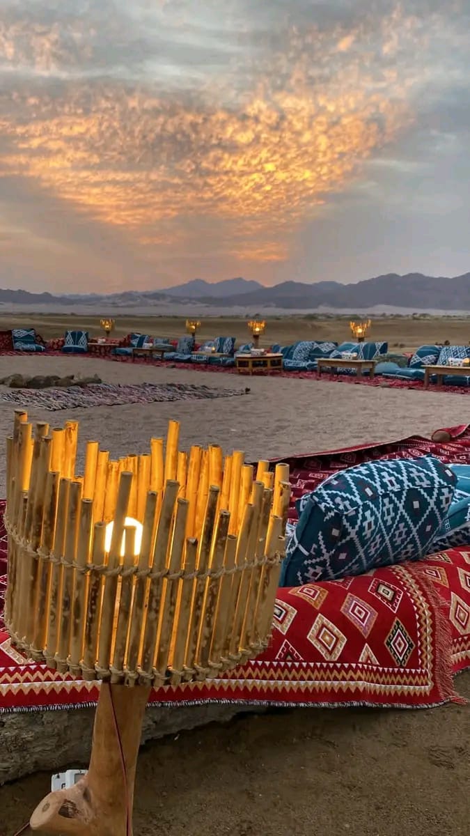 11Safari Quattro in Uno  — Da Sharm El Sheikh, un’avventura esclusiva nella Riserva Naturale di Nabq! 🏜️