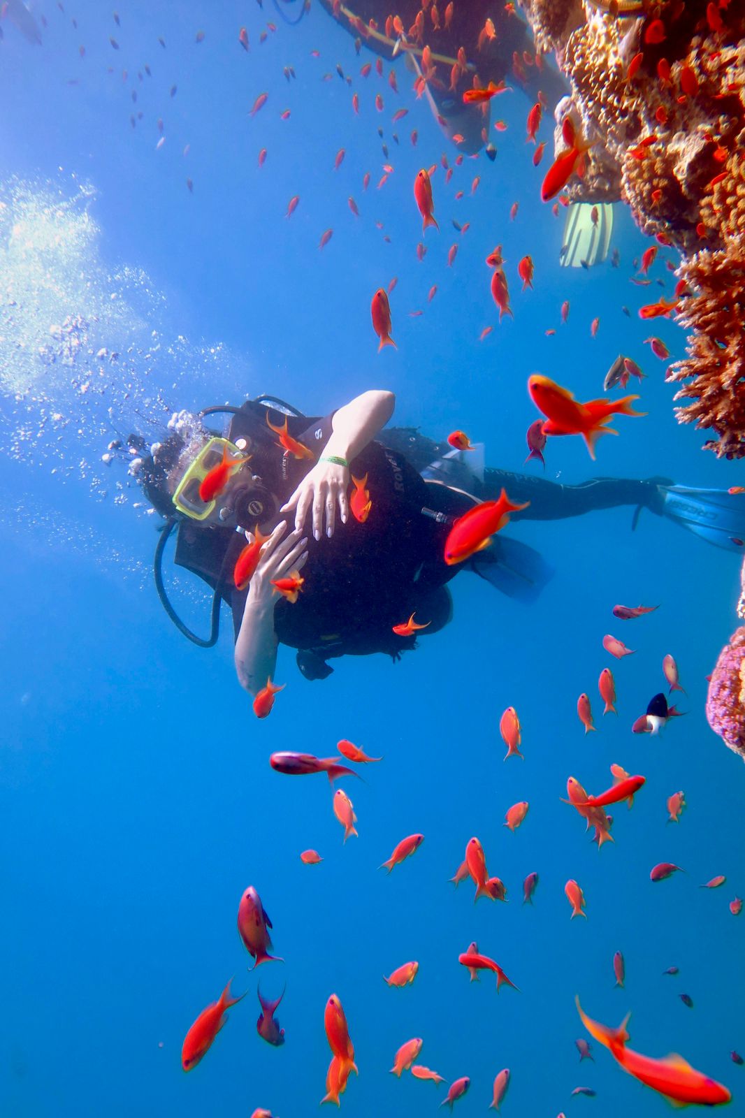 9Заповідник Рас-Мухаммед і Білий острів з Шарм-ель-Шейху-це мальовнича морська прогулянка!  🏝️🌊✨