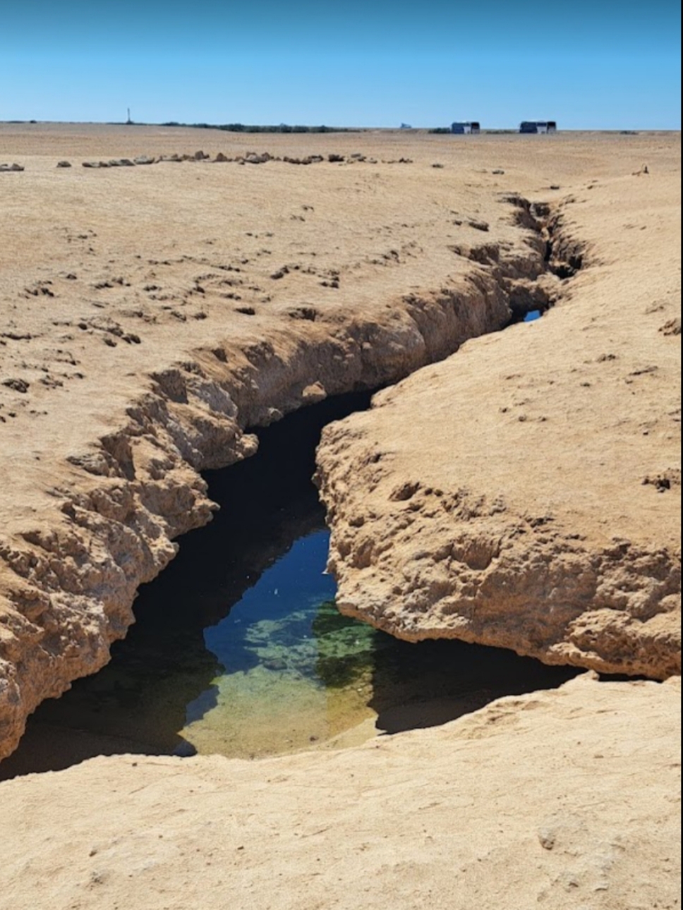 11Sinai Energy із Шарм-ель-Шейху – пригоди, море та морепродукти! 🌴🌊✨