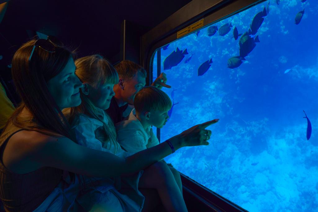 9VIP Submarine (Bathyscaphe) Tour from Sharm El Sheikh 🌊🤿