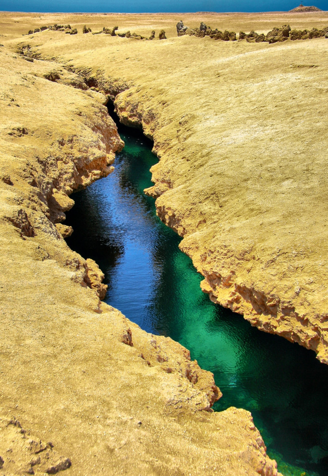 17Rezerwat Ras Mohammed  — Autobusem z Szarm el-Szejk odkryj wyjątkową naturę Synaju! 🌿