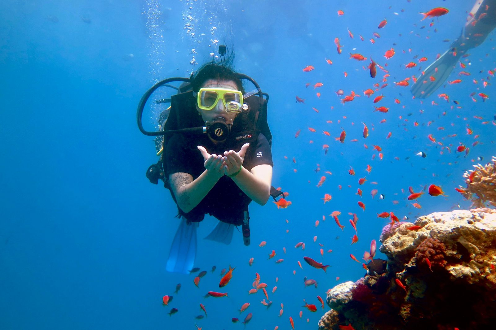 11Заповідник Рас-Мухаммед і Білий острів з Шарм-ель-Шейху-це мальовнича морська прогулянка!  🏝️🌊✨