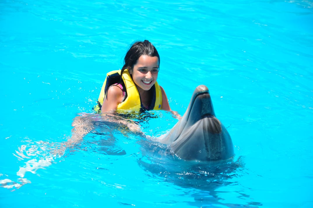 3Купання з дельфінами в Шарм-ель-Шейху – незабутні емоції та радість спілкування з морськими друзями!🐬 💙✨