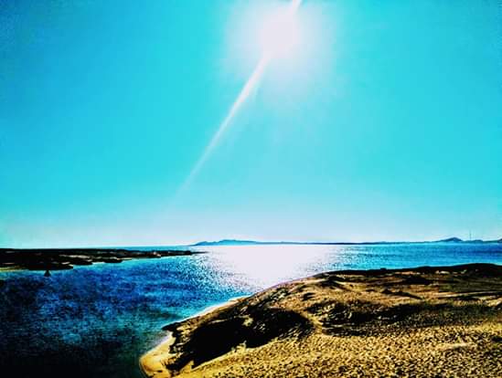 3Rezerwat Ras Mohammed  — Autobusem z Szarm el-Szejk odkryj wyjątkową naturę Synaju! 🌿