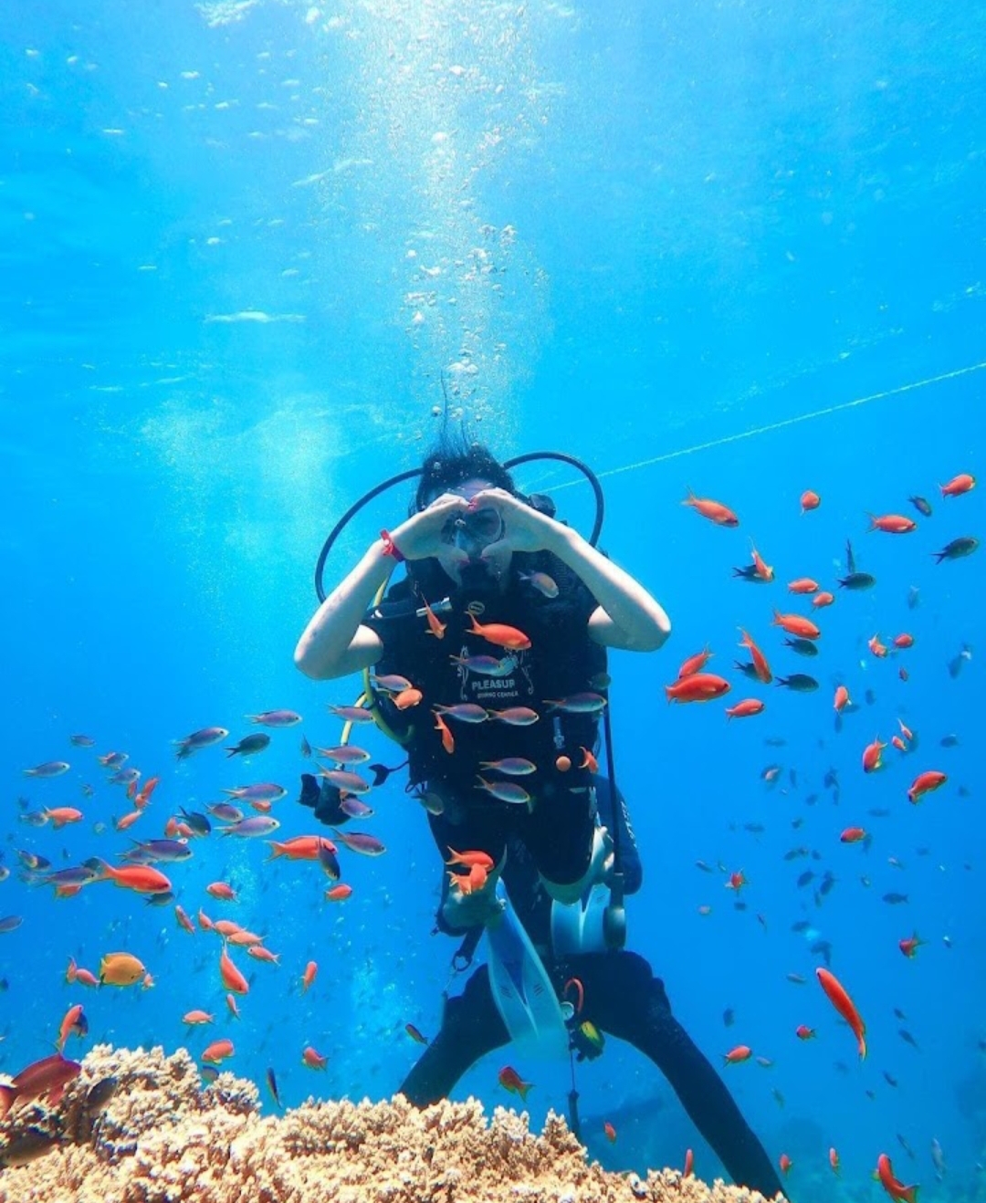 3Sinai Energy із Шарм-ель-Шейху – пригоди, море та морепродукти! 🌴🌊✨