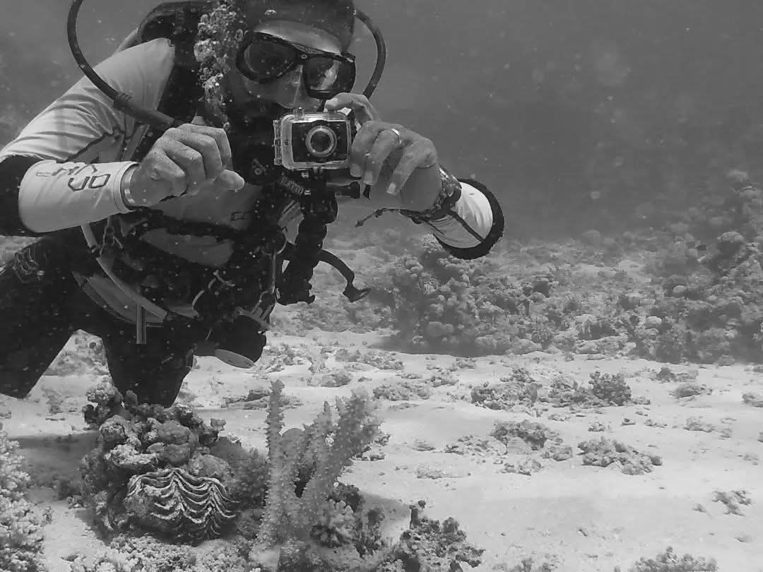 3Sharm El Sheikh – Thistlegorm Batık Dalışı
