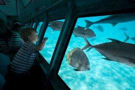 2VIP Submarine (Bathyscaphe) Tour from Sharm El Sheikh 🌊🤿