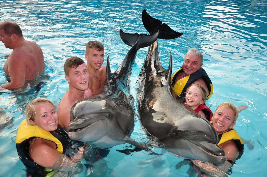 4Купання з дельфінами в Шарм-ель-Шейху – незабутні емоції та радість спілкування з морськими друзями!🐬 💙✨