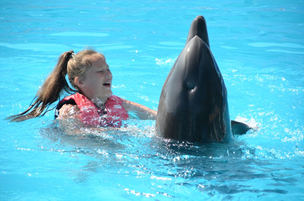 9Купання з дельфінами в Шарм-ель-Шейху – незабутні емоції та радість спілкування з морськими друзями!🐬 💙✨