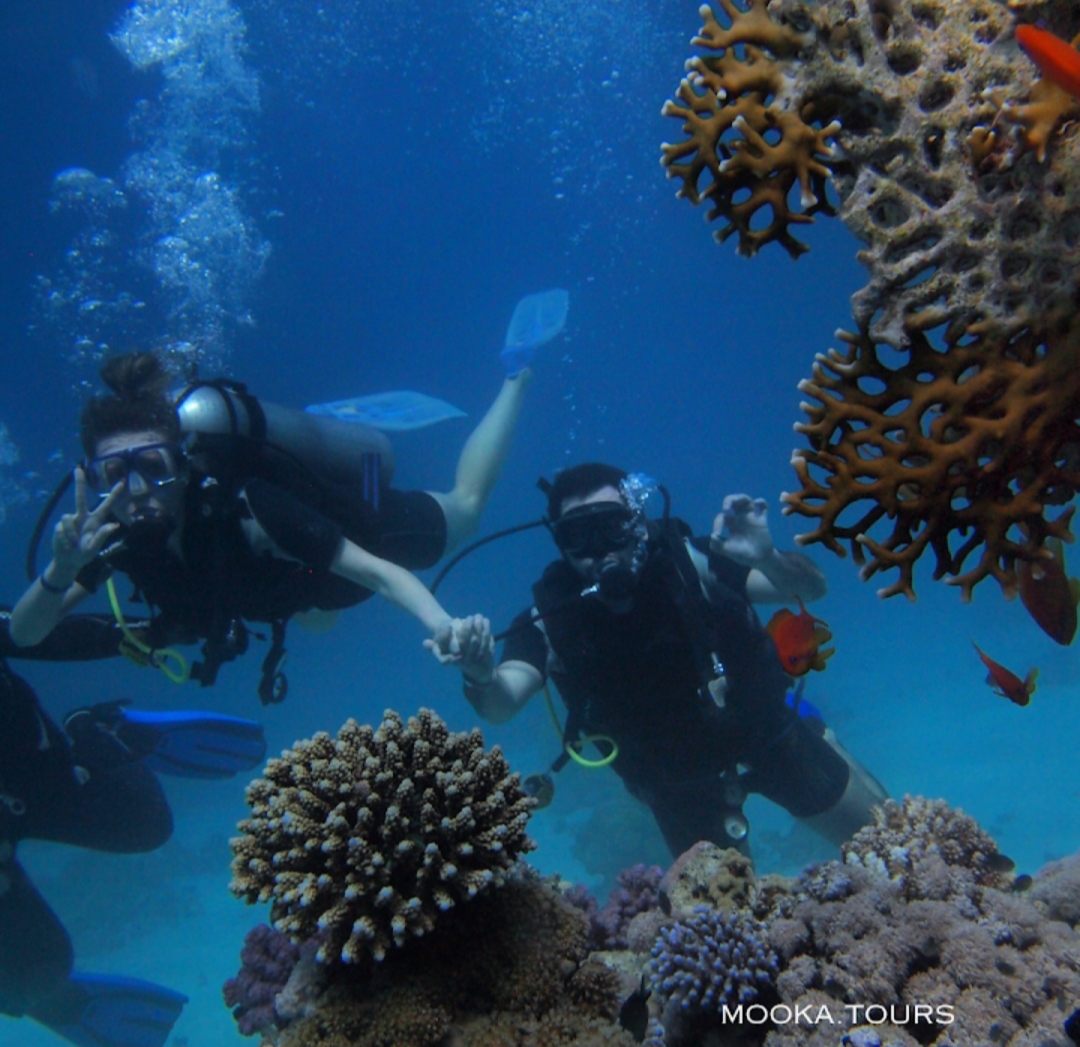 4Sinai Energy із Шарм-ель-Шейху – пригоди, море та морепродукти! 🌴🌊✨