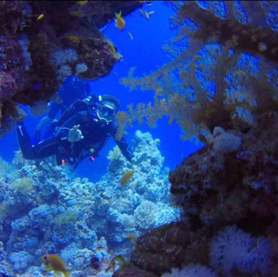 4Sharm El Sheikh – Thistlegorm Batık Dalışı