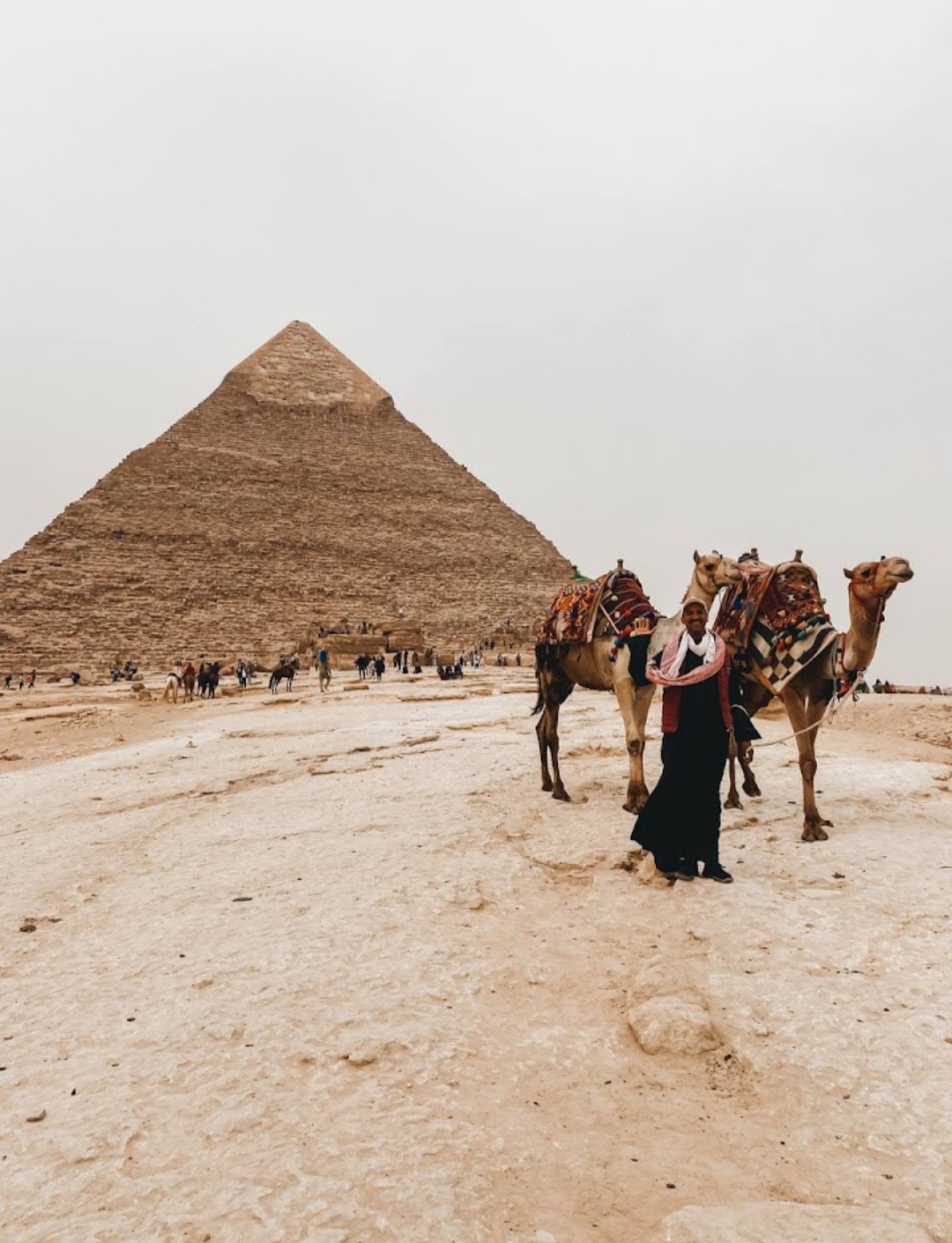 9Каїр автобусом — з Шарм-ель-Шейху до Пірамід та Єгипетського музею!  🚌🇪🇬