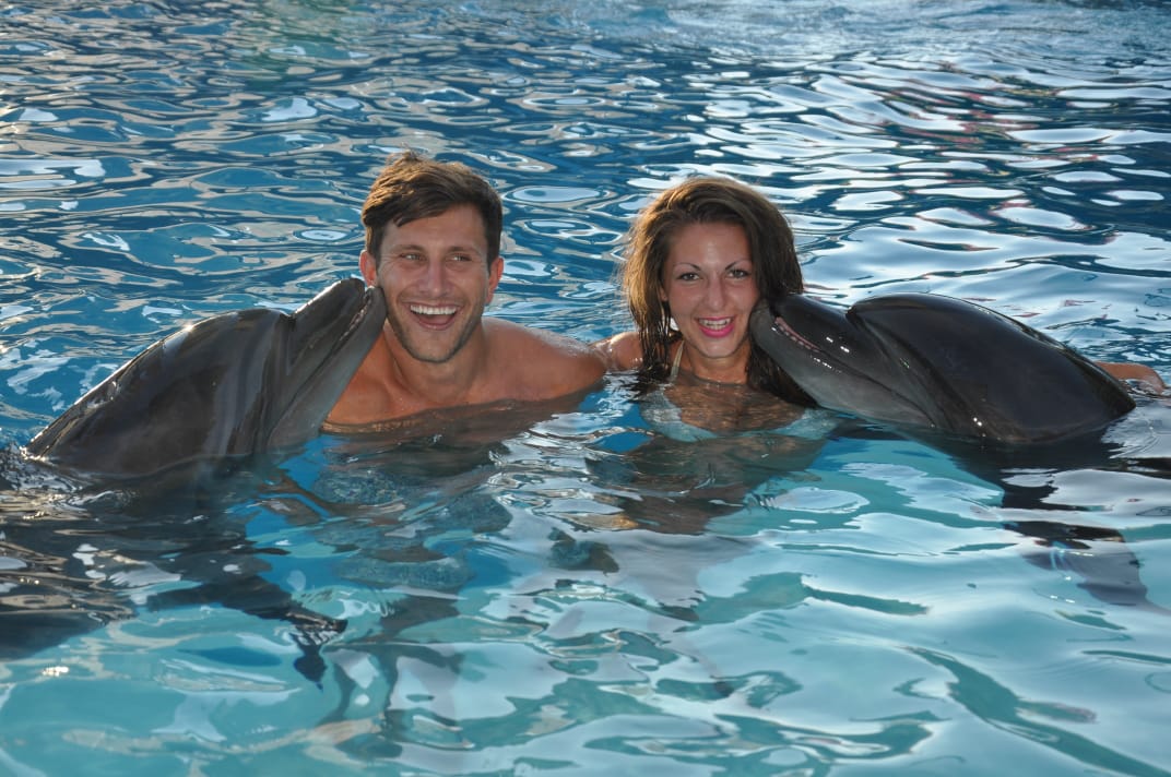 5Купання з дельфінами в Шарм-ель-Шейху – незабутні емоції та радість спілкування з морськими друзями!🐬 💙✨