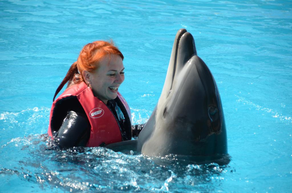 10Купання з дельфінами в Шарм-ель-Шейху – незабутні емоції та радість спілкування з морськими друзями!🐬 💙✨