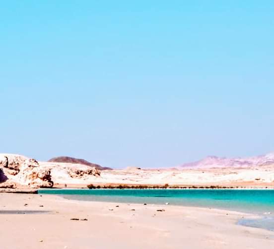 5Rezerwat Ras Mohammed  — Autobusem z Szarm el-Szejk odkryj wyjątkową naturę Synaju! 🌿