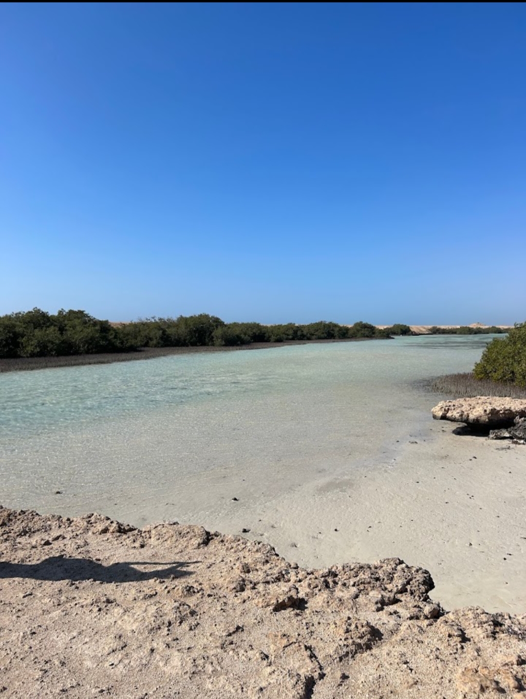 10Rezerwat Ras Mohammed  — Autobusem z Szarm el-Szejk odkryj wyjątkową naturę Synaju! 🌿