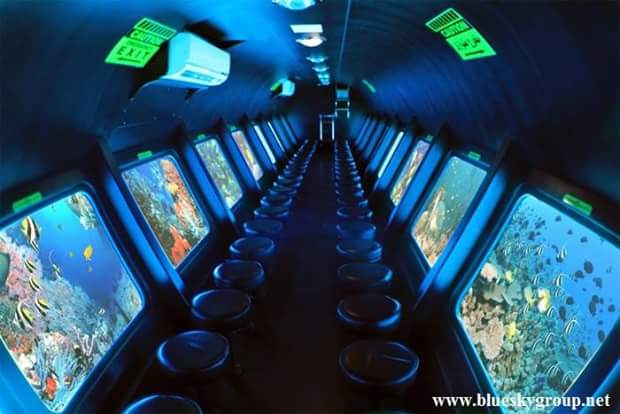 3VIP Submarine (Bathyscaphe) Tour from Sharm El Sheikh 🌊🤿