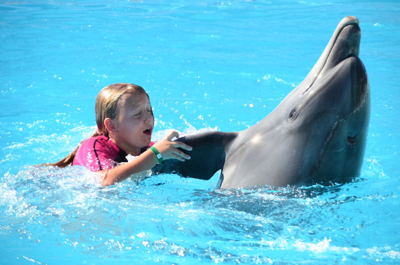 11Купання з дельфінами в Шарм-ель-Шейху – незабутні емоції та радість спілкування з морськими друзями!🐬 💙✨