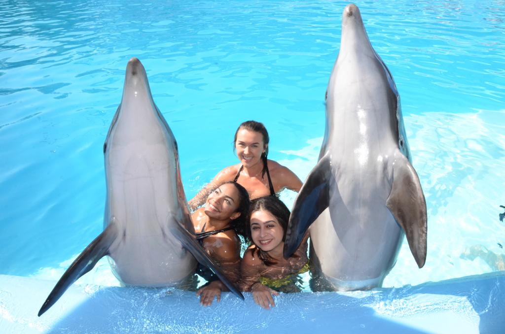 12Купання з дельфінами в Шарм-ель-Шейху – незабутні емоції та радість спілкування з морськими друзями!🐬 💙✨