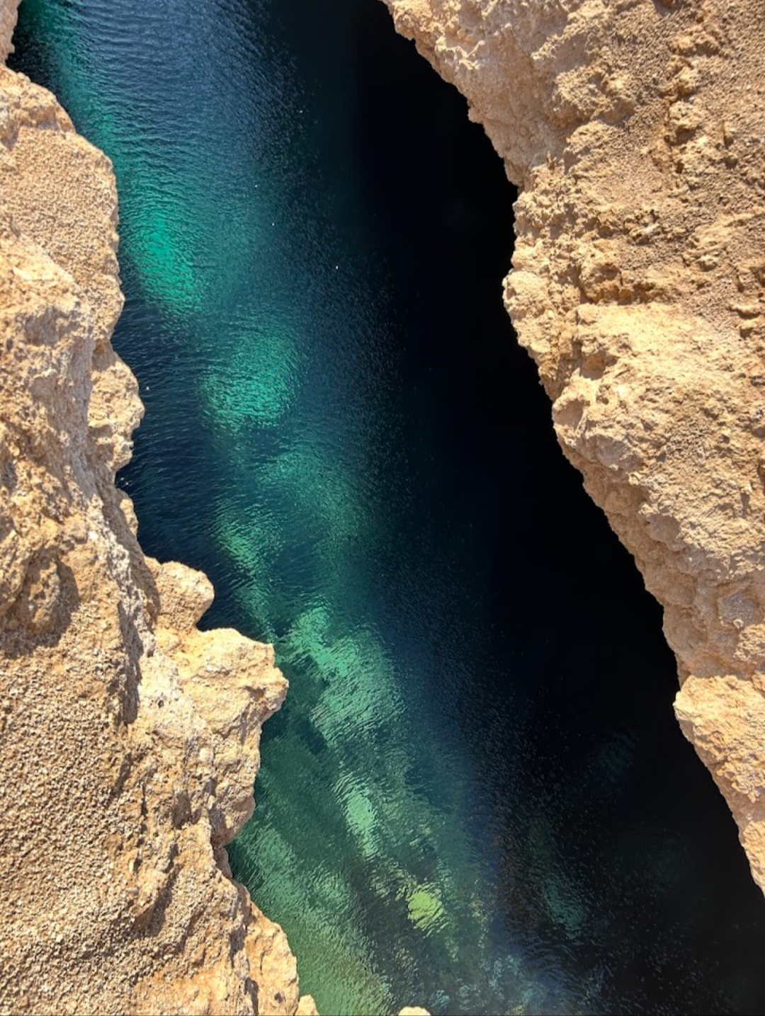 8Sinai Energy із Шарм-ель-Шейху – пригоди, море та морепродукти! 🌴🌊✨