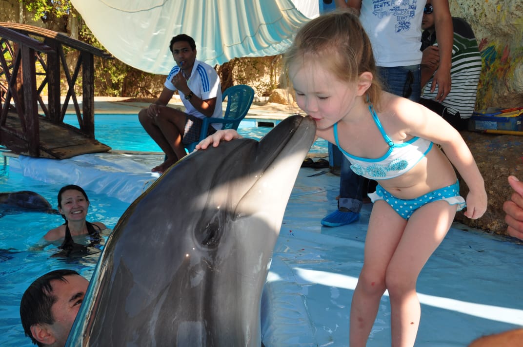 14Купання з дельфінами в Шарм-ель-Шейху – незабутні емоції та радість спілкування з морськими друзями!🐬 💙✨