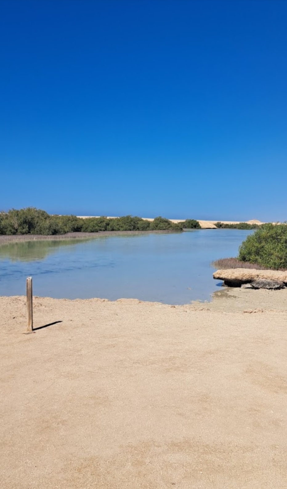 14Rezerwat Ras Mohammed  — Autobusem z Szarm el-Szejk odkryj wyjątkową naturę Synaju! 🌿