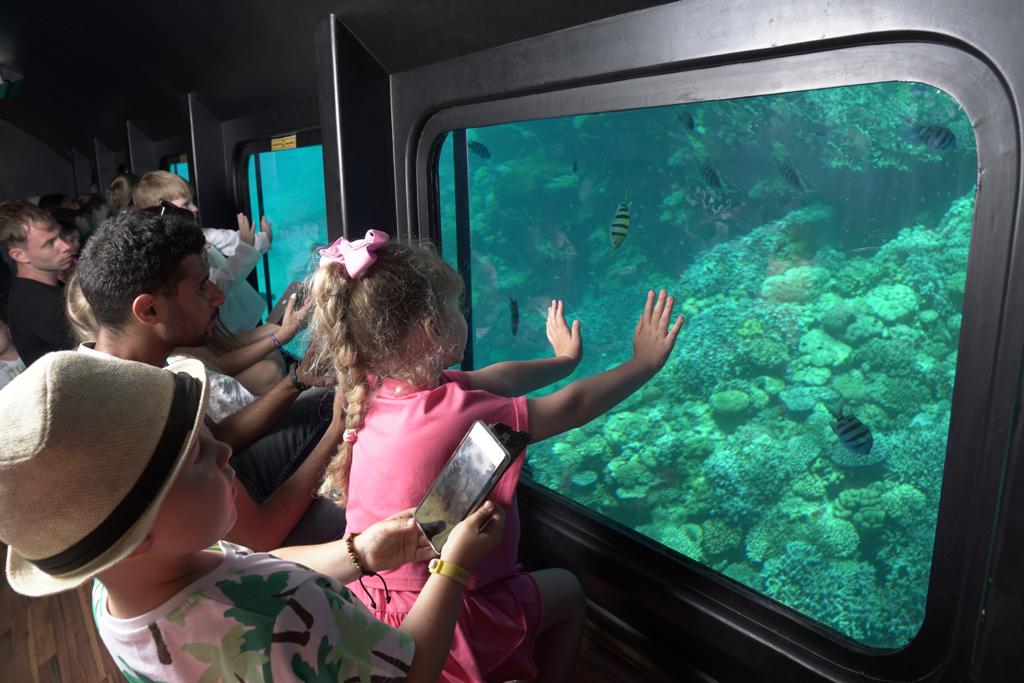 7VIP Submarine (Bathyscaphe) Tour from Sharm El Sheikh 🌊🤿