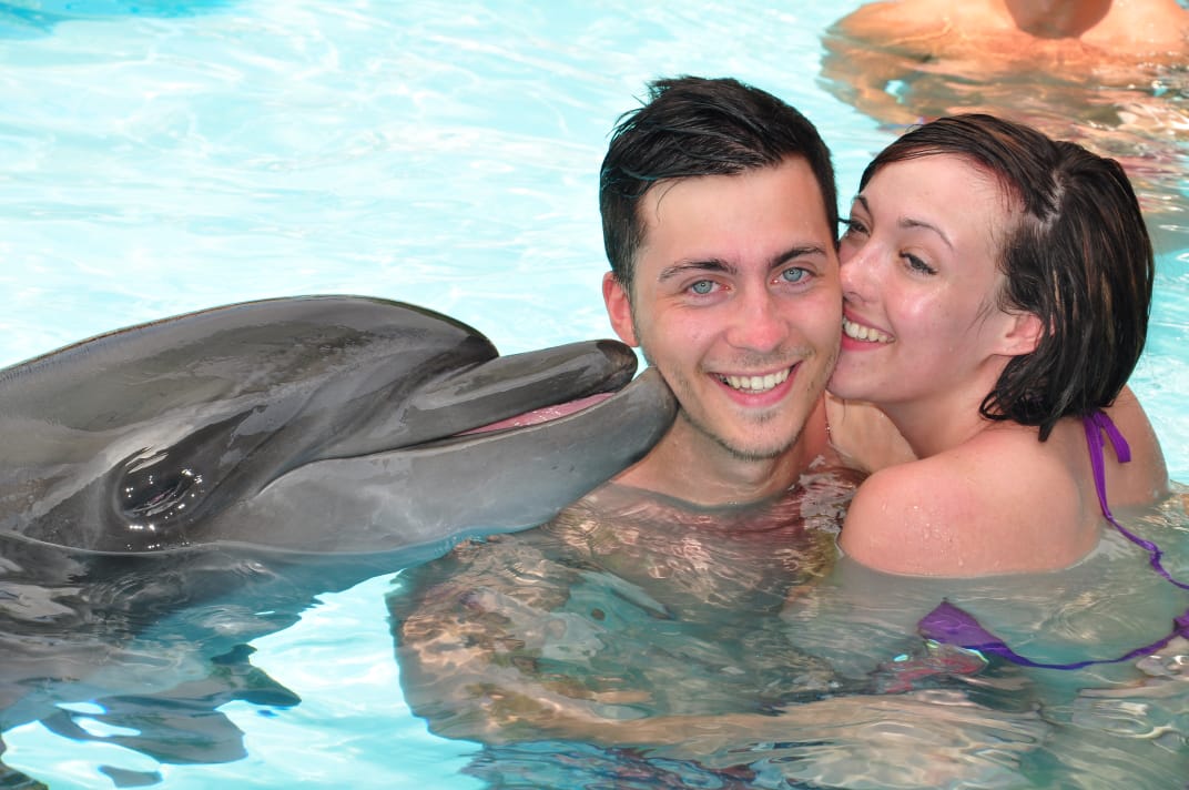 15Купання з дельфінами в Шарм-ель-Шейху – незабутні емоції та радість спілкування з морськими друзями!🐬 💙✨